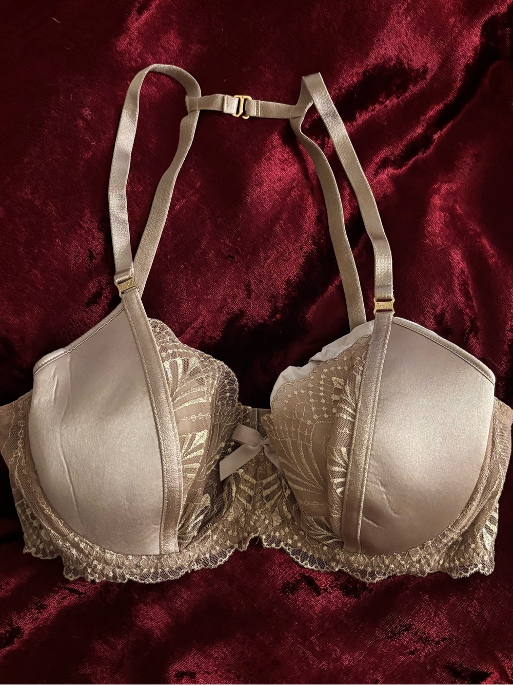NWOT Bordelle Kizette Bra in Oyster/Caramel M